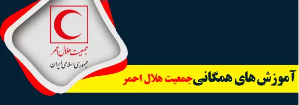 آموزش همگانی
